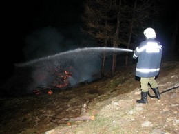 2003 Waldbrand
