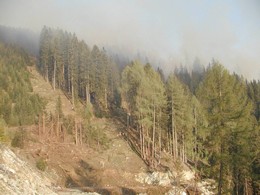 2003 Waldbrand in Bretstein