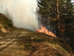2003 Waldbrand in Bretstein