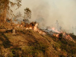 2003 Waldbrand in Bretstein