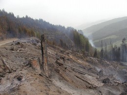 2003 Waldbrand in Bretstein