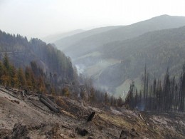 2003 Waldbrand in Bretstein