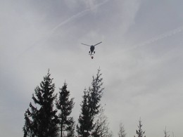 2003 Waldbrand in Bretstein