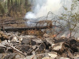 2003 Waldbrand in Bretstein