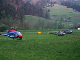 2003 Waldbrand in Bretstein