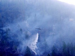 2003 Waldbrand in Bretstein