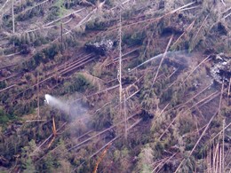 2003 Waldbrand in Bretstein
