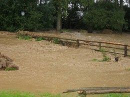 2005 Hochwasser