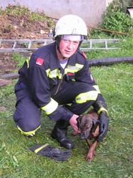 2005 Hunderettung