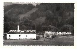 1960 Brand Omer Kathal