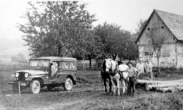 1960 FF Holzliefern