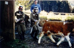 1989 Abschlussübung