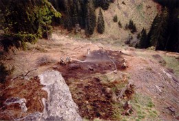 1991 Brand in Schwarzenbach