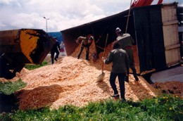 1991 Verkehrsunfall mit einem LKW