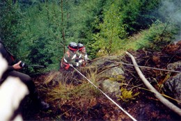 1996 Waldbrand im Kothgraben