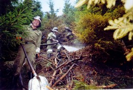 1996 Waldbrand im Kothgraben