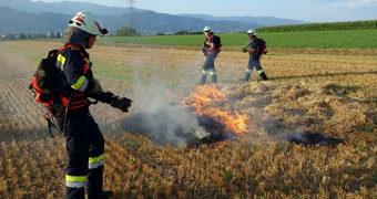 Übung zur Flächenbrandbekämpfung